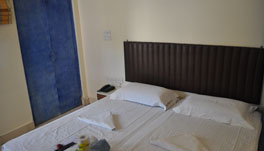 Hotel Kabli New Delhi - Standard Room Picture_7