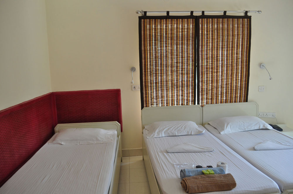 Hotel Kabli Delhi - Deluxe Room View_3