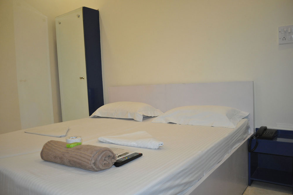 Hotel Kabli Delhi - Standard Room View_4